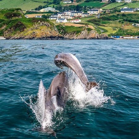 Realt Na Mara Villa Killybegs Luaran gambar