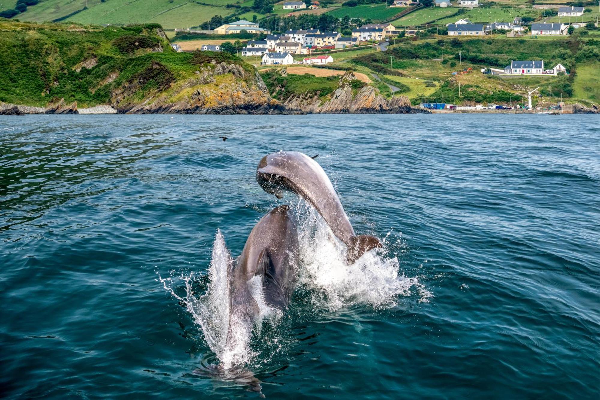 Realt Na Mara Villa Killybegs Luaran gambar